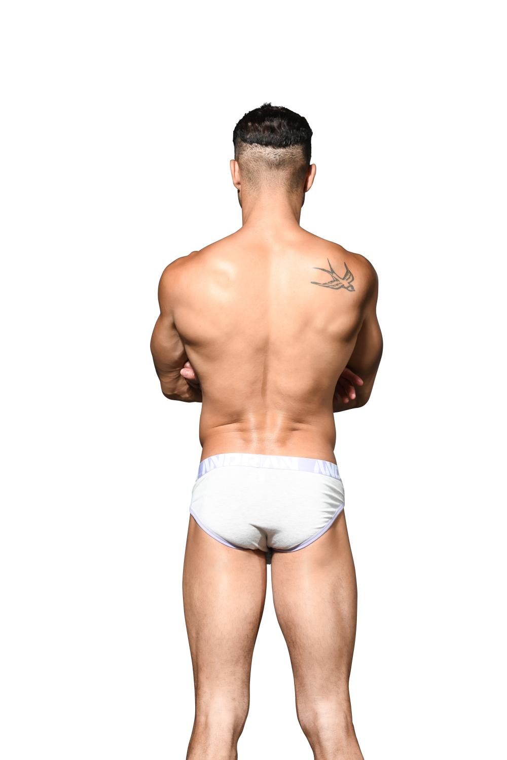 Andrew Christian CoolFlex Modal Brief w/ SHOW-IT® White Heather