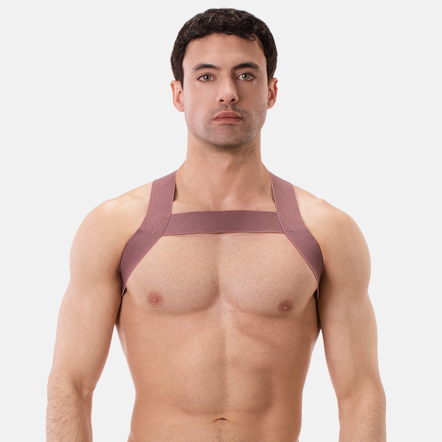 Barcode Berlin Multipack 1x Boris Jockstrap + 1x Harness Matt Brownishpurple