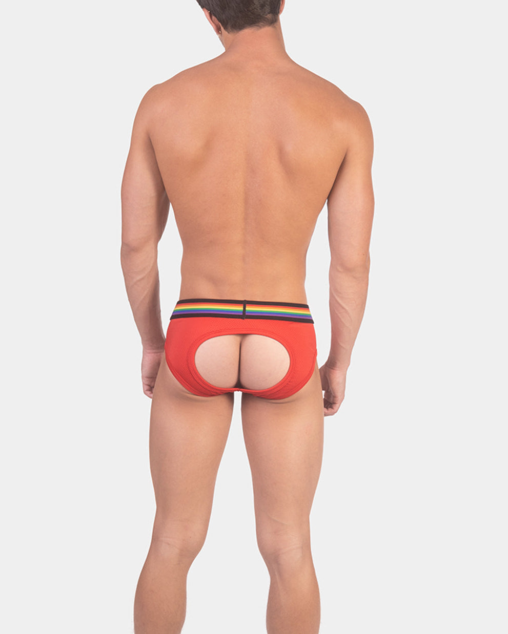 Barcode Berlin Multipack Backless Brief Pride Red + Pride Harness