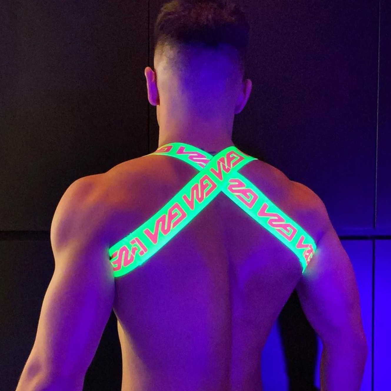 Garçon Lincoln Shoulder Harness