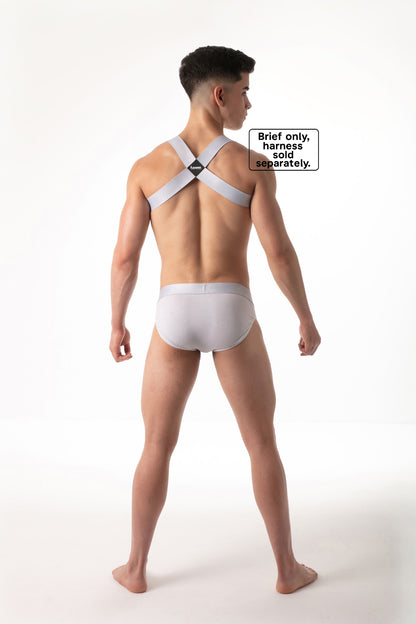 LEADER Essentials Brief Grey