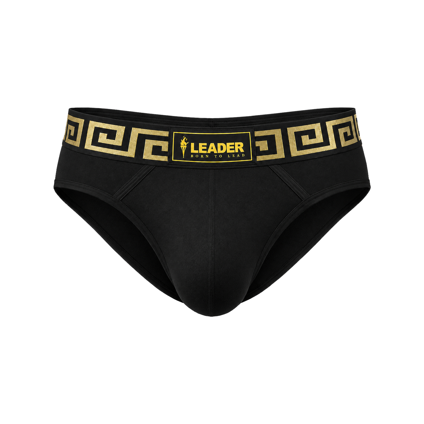 LEADER Invictus Brief Black-Gold