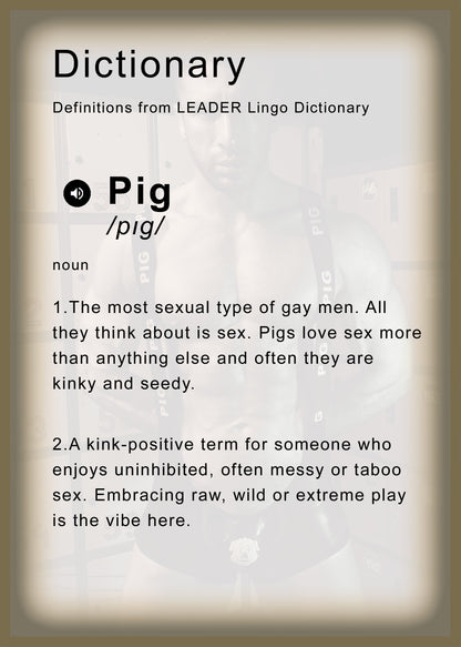 LEADER ID Party Singlet Pig Black/Brown